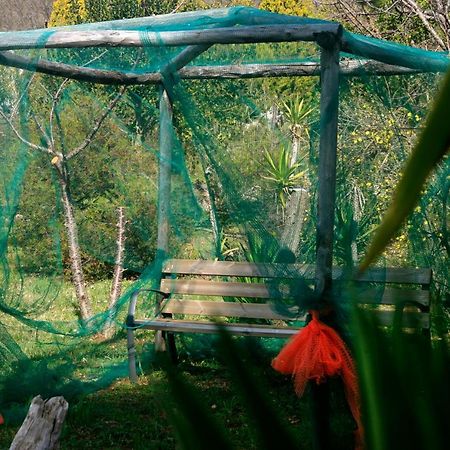Agriturismo Parco Dai Nonni 이스키텔라 외부 사진