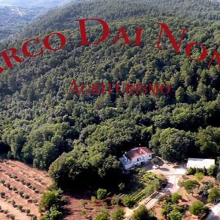 Agriturismo Parco Dai Nonni 이스키텔라 외부 사진
