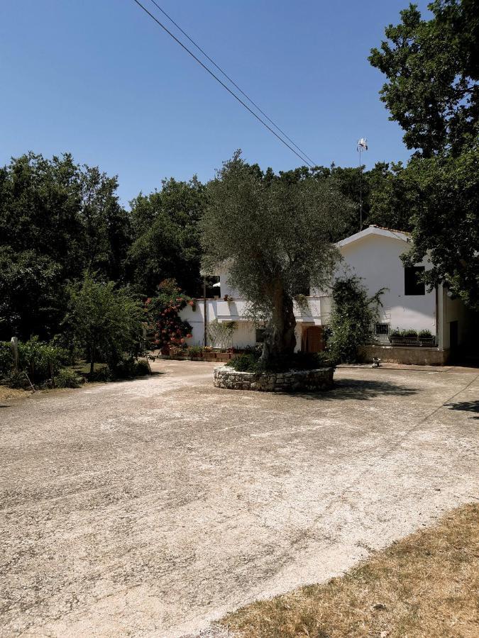 Agriturismo Parco Dai Nonni 이스키텔라 외부 사진