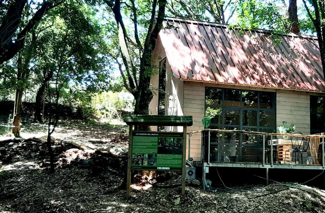 Agriturismo Parco Dai Nonni 이스키텔라 외부 사진