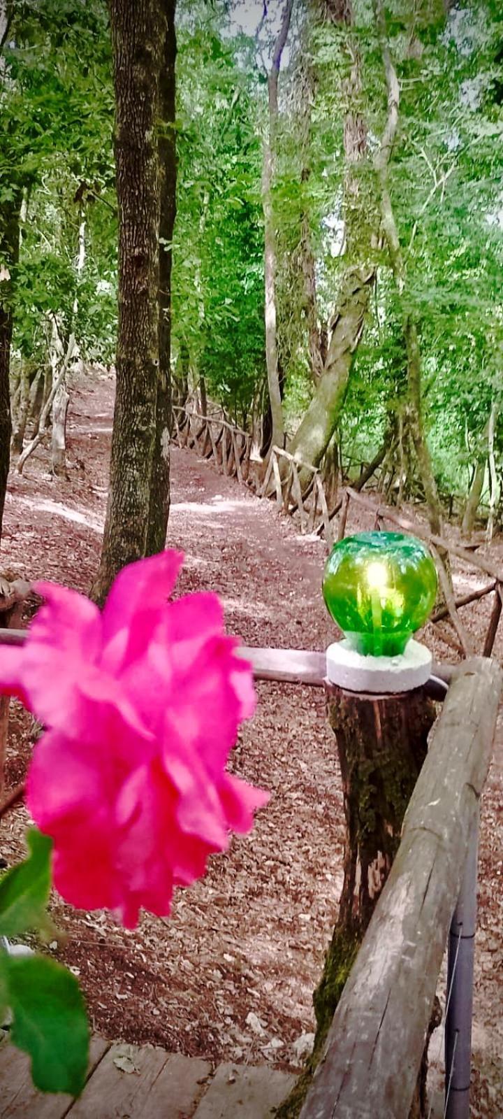 Agriturismo Parco Dai Nonni 이스키텔라 외부 사진
