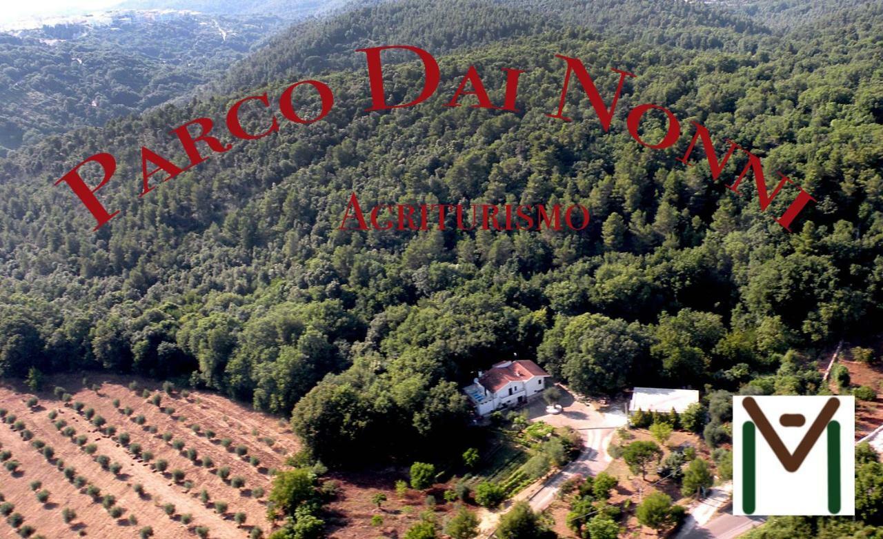 Agriturismo Parco Dai Nonni 이스키텔라 외부 사진