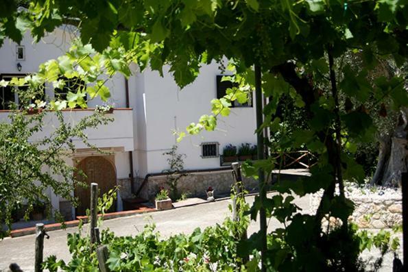 Agriturismo Parco Dai Nonni 이스키텔라 외부 사진